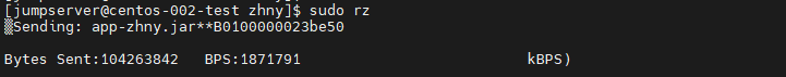 upload successful
